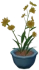 花卉盆栽-「甜蜜的偽裝」 Icon