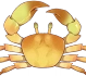 Crabe doré Icon