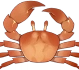 Crabe du soleil Icon