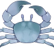 海藍蟹 Icon