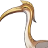 Ibis Sagrado Icon