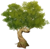 Albero nodoso verde