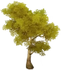 Kehribar Demir Gövdeli Ağaç