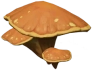 Sandy Domeshroom Icon