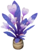Violetter Seidensternhibiskus
