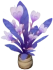 星槿·紫錦 Icon
