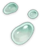 Dịch Slime Icon