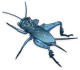 귀뚜라미(파랑) Icon
