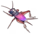 Mor Cırcır Böceği Icon