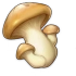 肥美的蘑菇 Icon