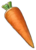 Carrots สด ๆ
