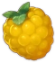 Dendro-Processed Berry Icon