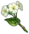 Свежий цветок цинсинь Icon