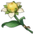 Fleur sucrante d'aspect ordinaire Icon