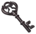 Metal Key Icon