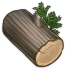 Bois de cyprès Icon