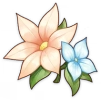 Цветок Аранаги