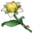 Besondere Zuckerblume Icon