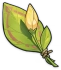 Fleur non épanouie d'origine inconnue Icon
