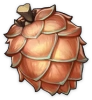 Pinecone Murni