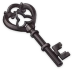 Rusty Iron Key Icon