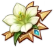 Souvenir de fleur des champs Icon