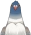 Brightcrown Pigeon