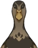 Velvetfall Duck